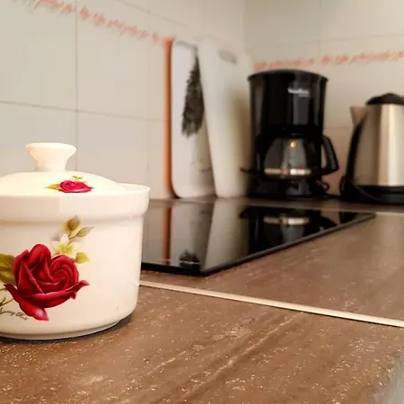 Warm, Cozy And Comfortable Apartamento *