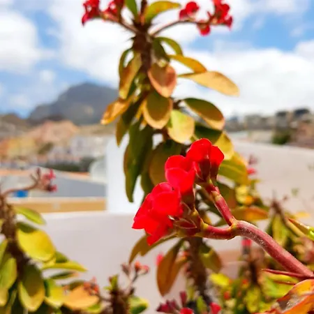 Apartamento Warm, Cozy And Comfortable *