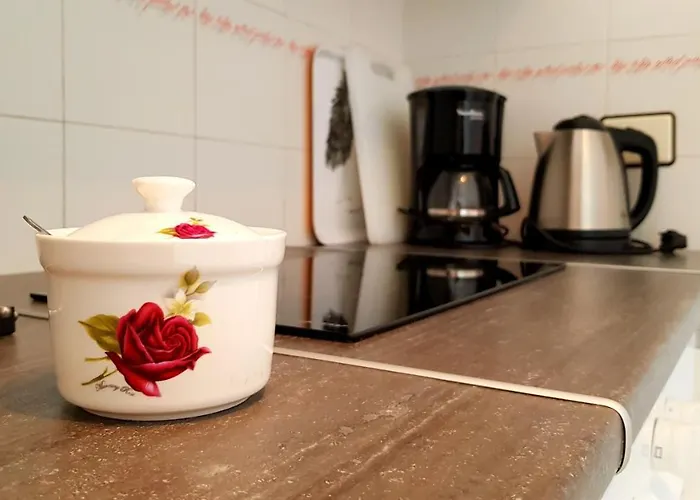 Warm, Cozy And Comfortable Apartamento *