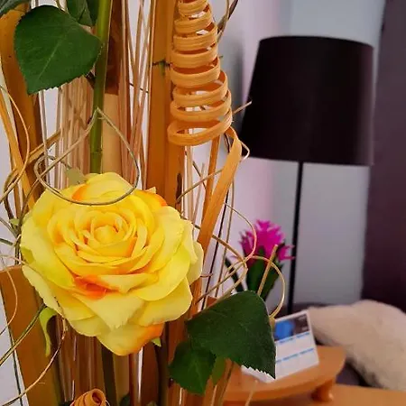 公寓 Warm, Cozy And Comfortable *