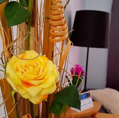 Apartment Warm, Cozy And Comfortable *