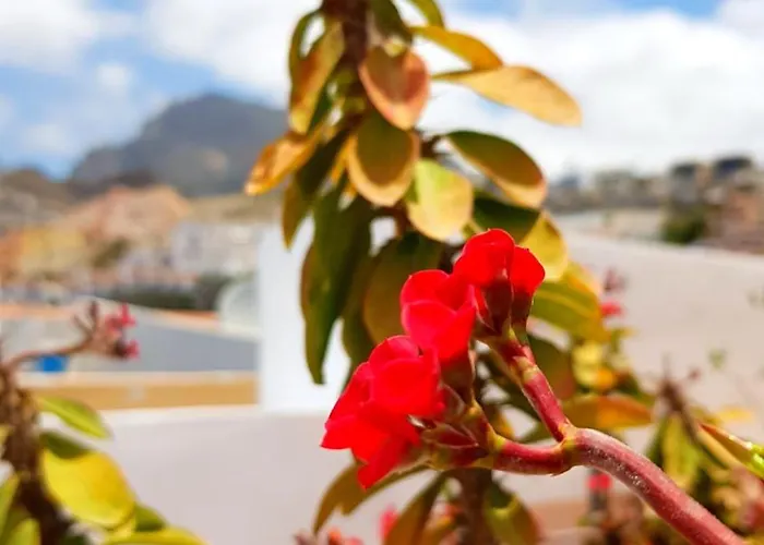 Апартаменты Warm, Cozy And Comfortable *